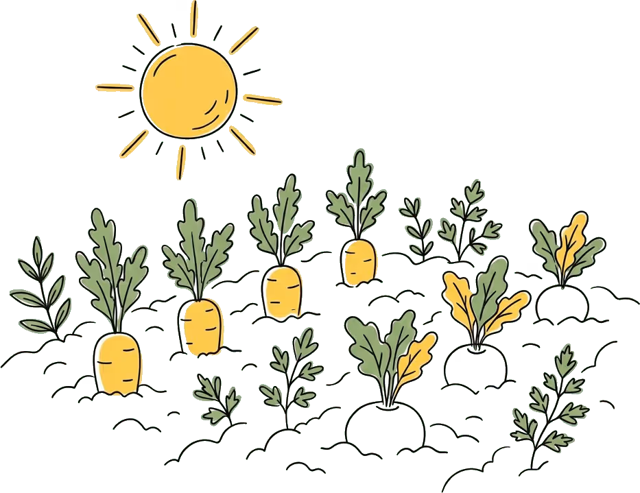 Frisches Gemüse wird auf dem Feld geerntet – Illustration